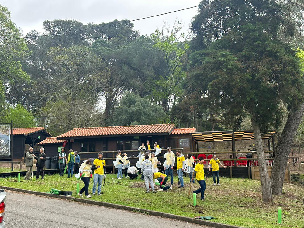 Atividade EY Ripples em parceria com a Life Terra. Plantámos 150 árvores no Centro Desportivo Nacional do Jamor