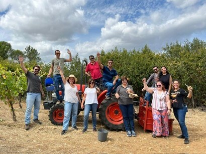 Grape harvest team building